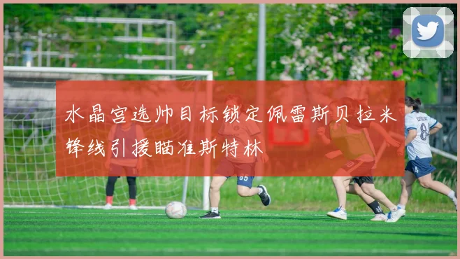 水晶宫选帅目标锁定佩雷斯贝拉米锋线引援瞄准斯特林