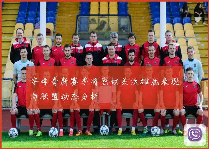 字母哥新赛季将密切关注雄鹿表现与联盟动态分析