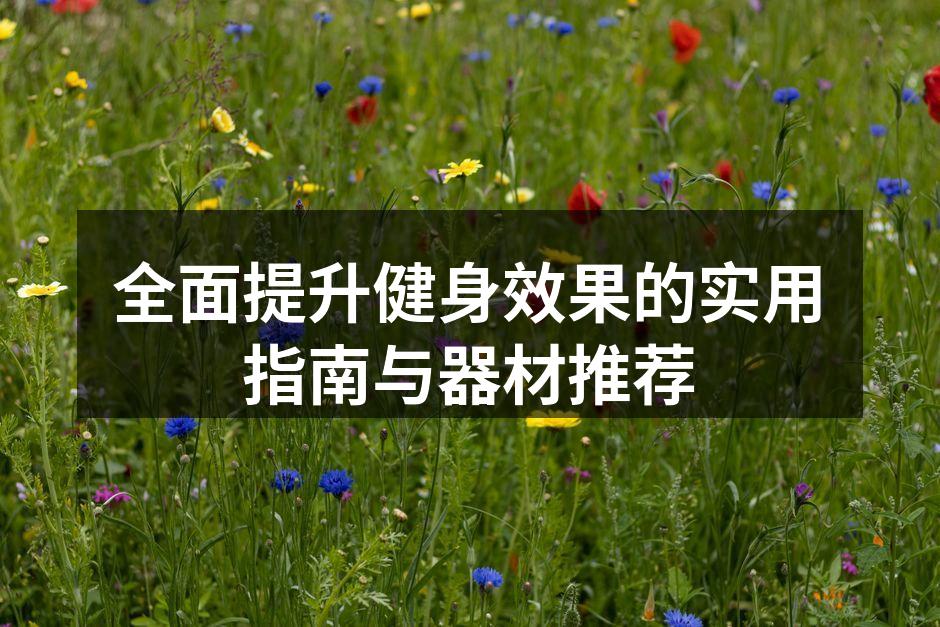 全面提升健身效果的实用指南与器材推荐