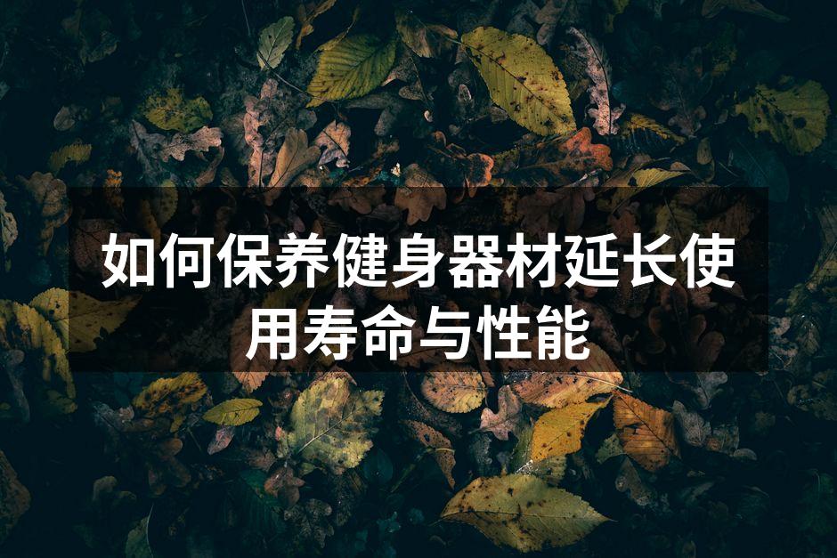 如何保养健身器材延长使用寿命与性能
